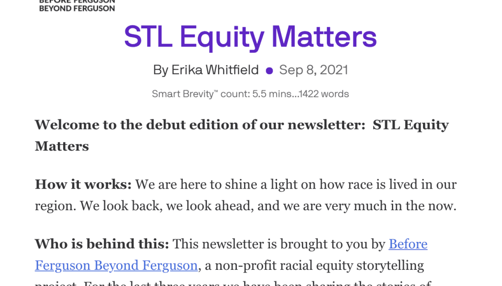 Our Newsletter — STL Equity Matters — Vol. 1